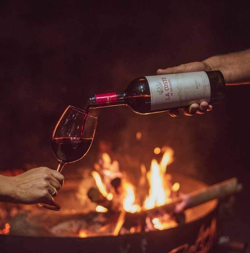 La Coste De Los Andes Malbec